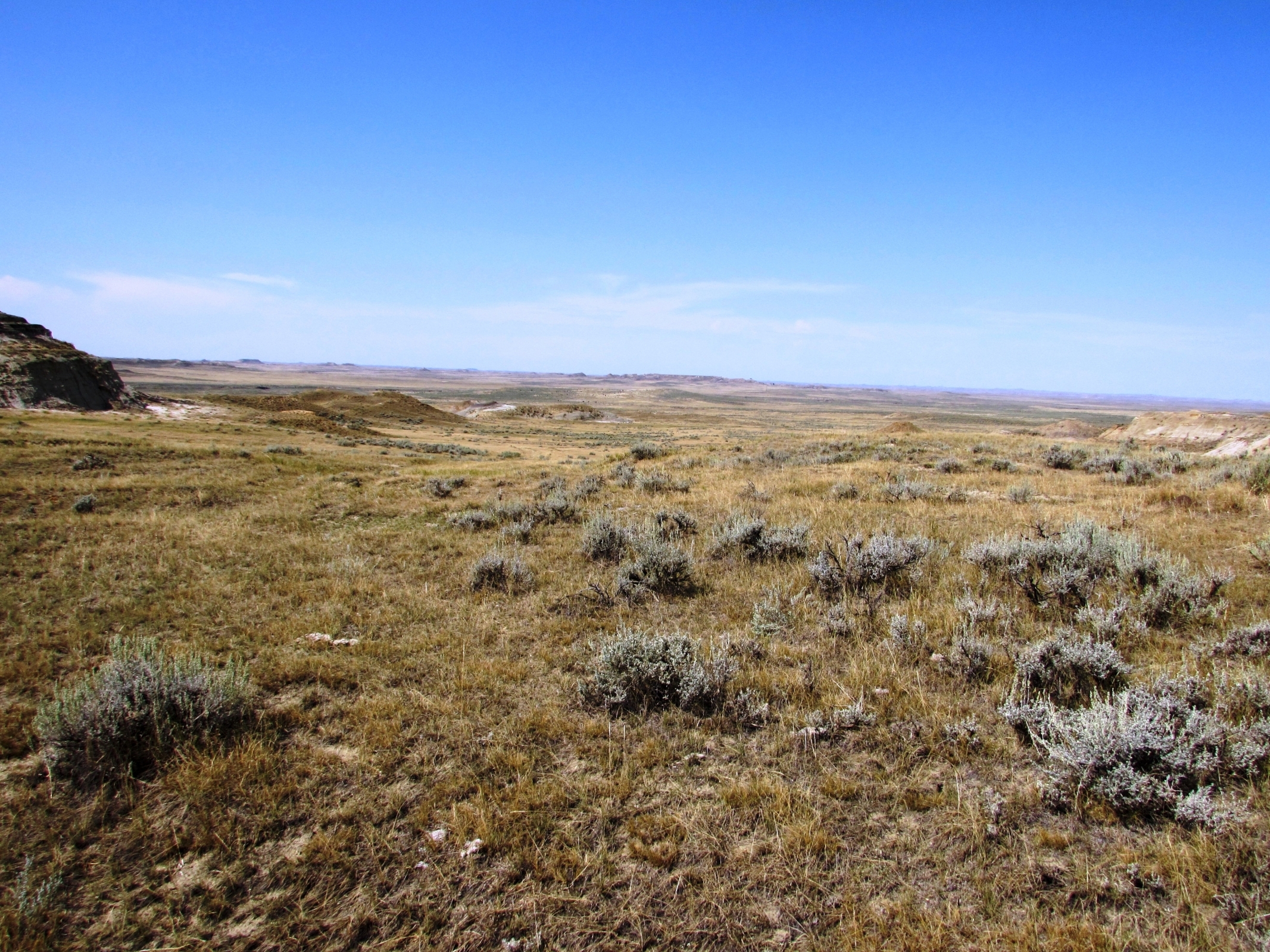 East Montana Grass Ranch Scott Western Realty