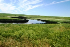 Hafla Ranch Jordan Water