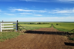 Hafla Ranch Jordan MT Entrance