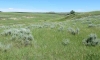 old-west-eastern-montana-ranch-0004
