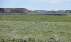 old-west-eastern-montana-ranch-0005