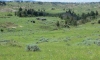 old-west-eastern-montana-ranch-0006
