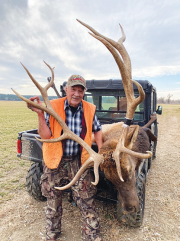 Massive-Dead-Elk